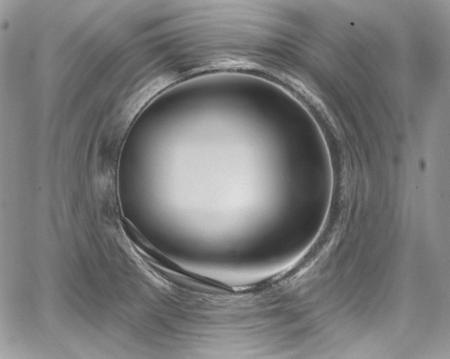 X0000068291281200604241249