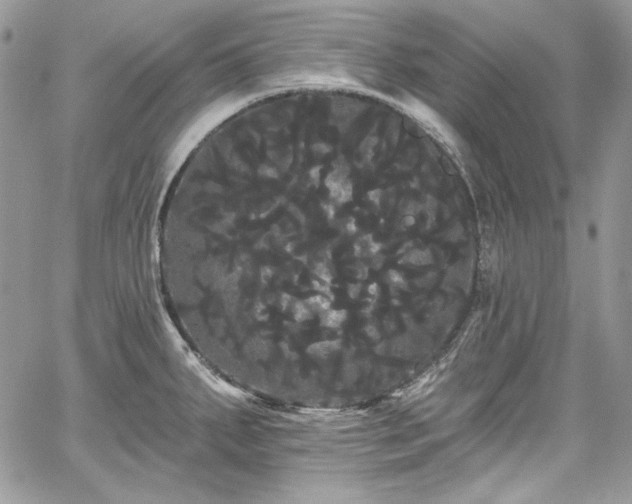 X0000068291287200604241249