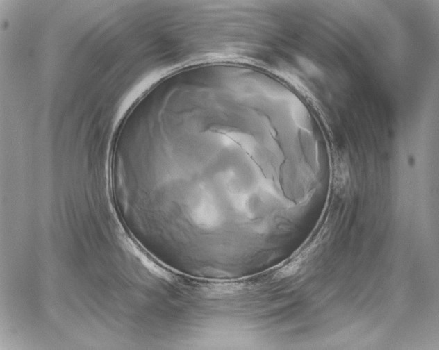 X0000068291294200604241249