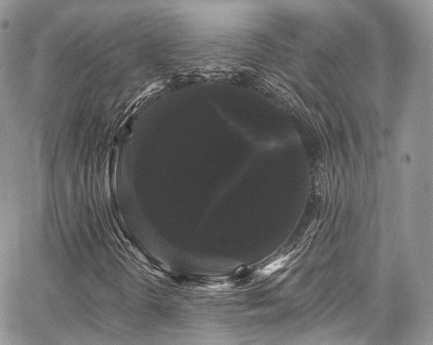 X0000068291298200604241248