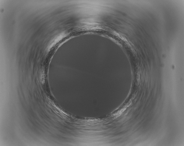 X0000068291306200604241248