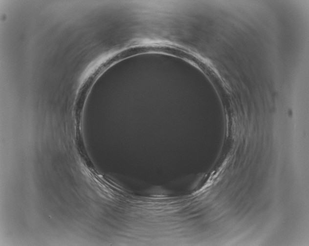 X0000068291319200604241248