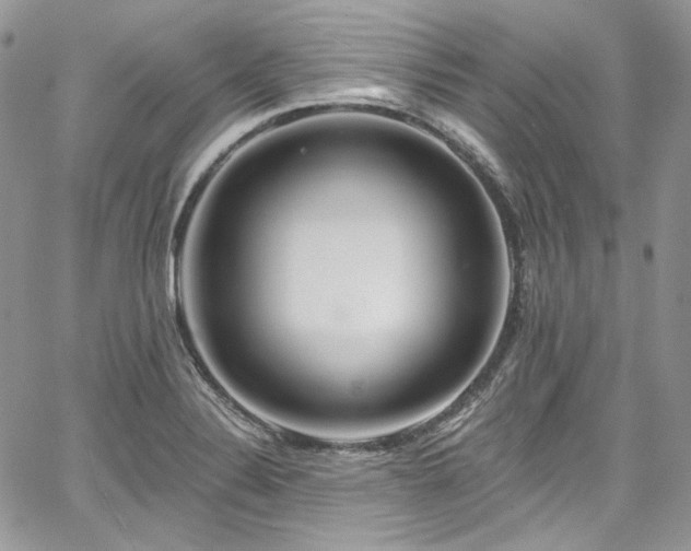 X0000068291324200604241248
