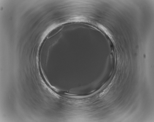X0000068291334200604241249