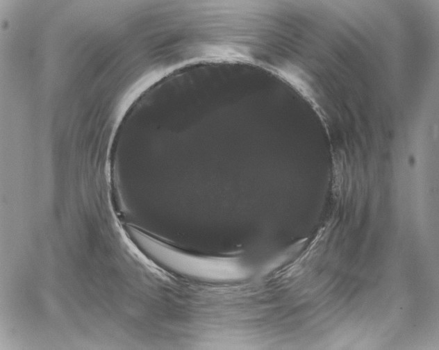 X0000068291335200604241249