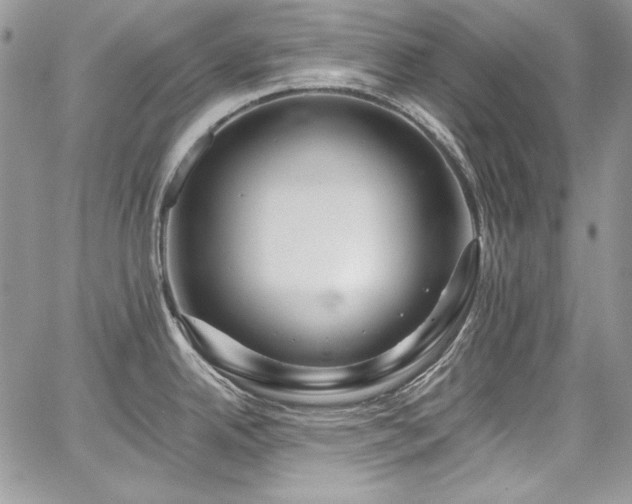 X0000068291342200604241249