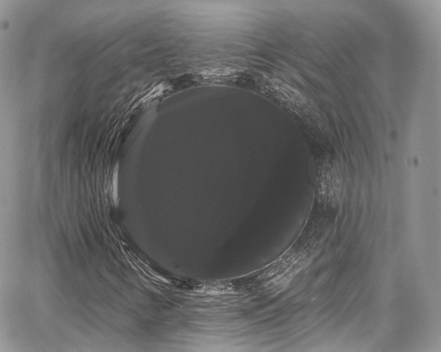 X0000068291346200604241248