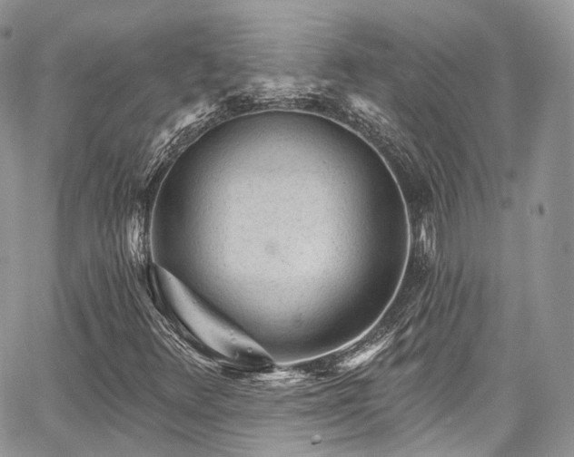 X0000068291348200604241248