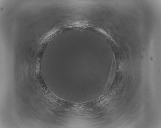 X0000068291350200604241248
