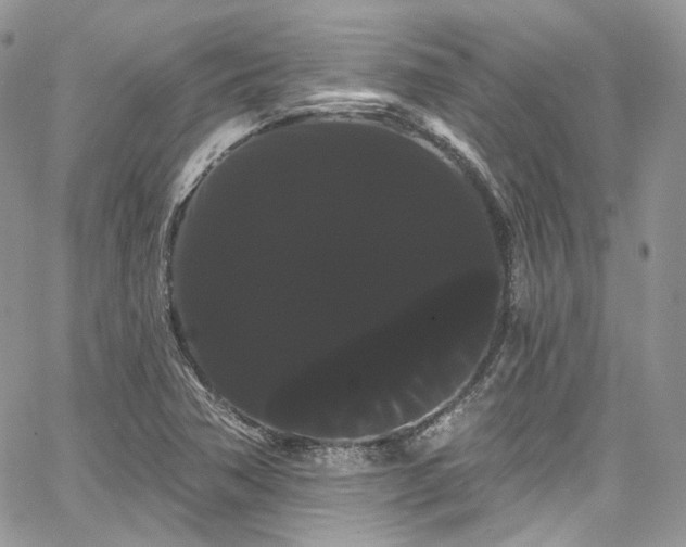 X0000068291362200604241248