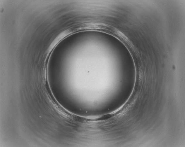 X0000068291370200604241248