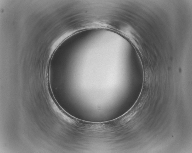 X0000068291387200604241247