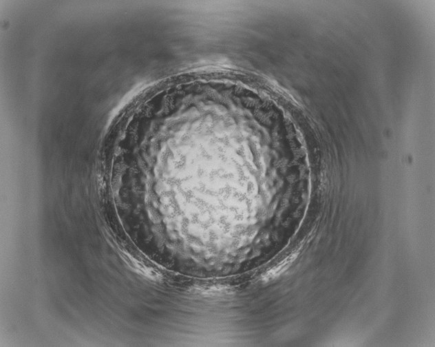 X0000068291400200604241247