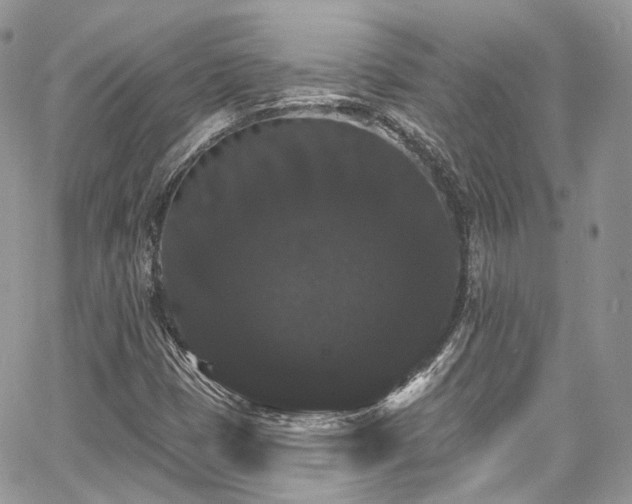 X0000068291401200604241247