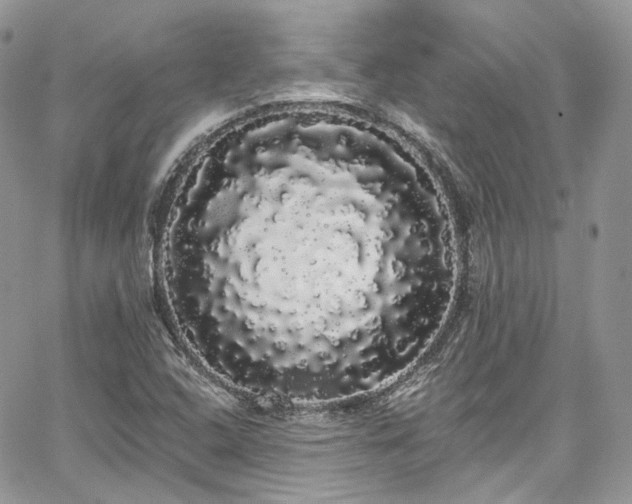 X0000068291408200604241247