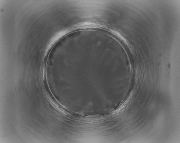 X0000068291413200604241247