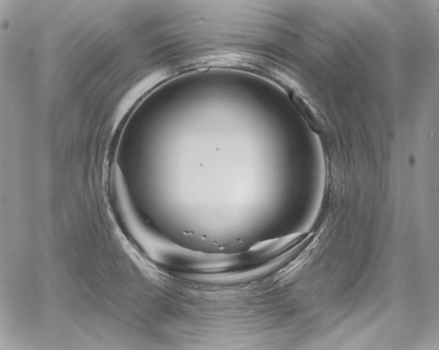 X0000068291426200604241247