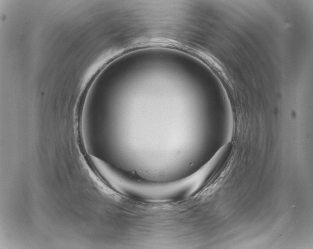 X0000068291430200604241247
