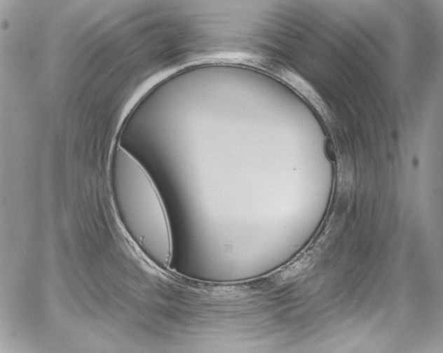 X0000068291436200604241247
