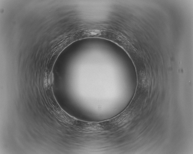 X0000068291442200604241246