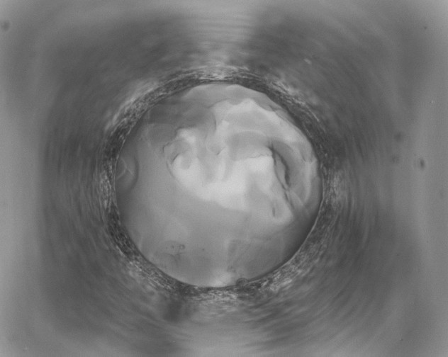 X0000068291446200604241246