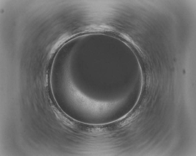 X0000068291459200604241246