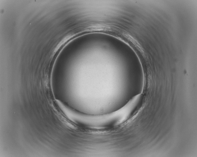 X0000068291465200604241246