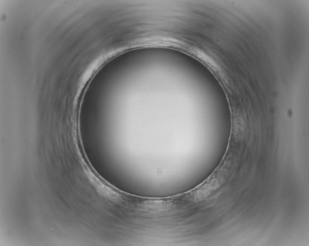X0000068291478200604241246
