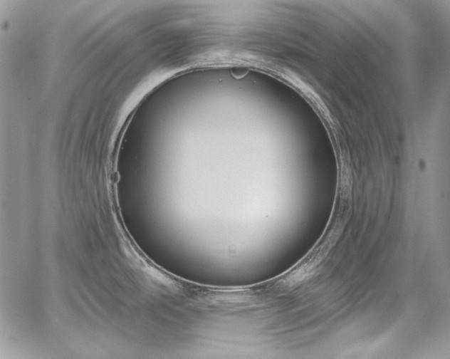 X0000068291486200604241246