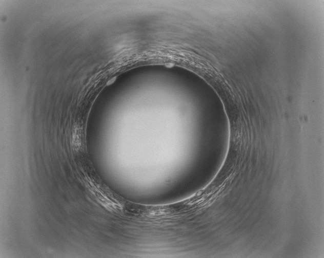 X0000068291490200604241245