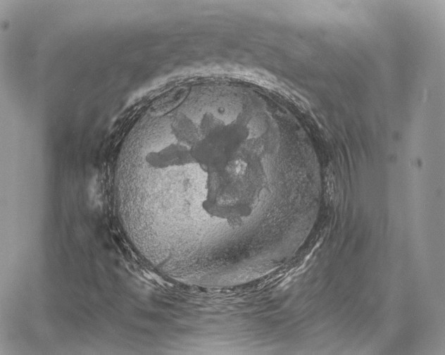 X0000068291494200604241245