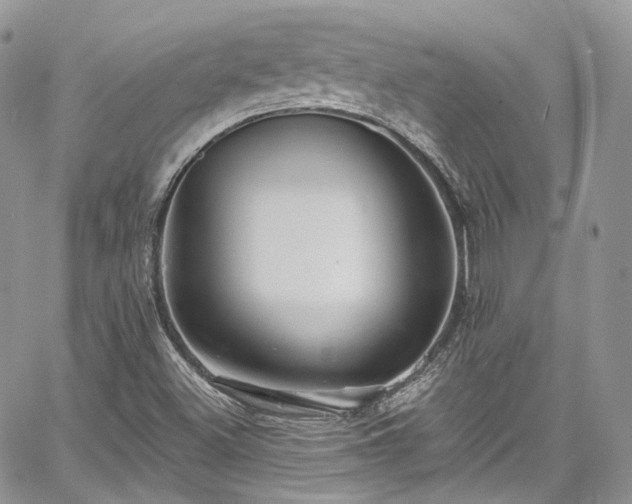 X0000068291500200604241245