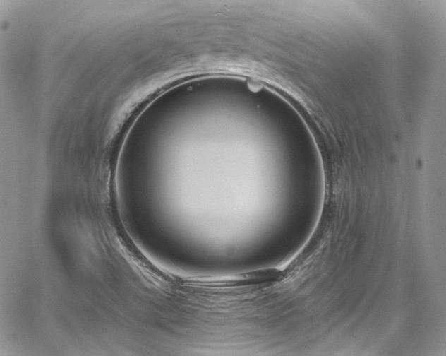 X0000068291507200604241245
