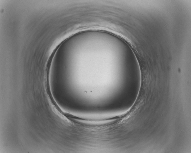 X0000068291518200604241245