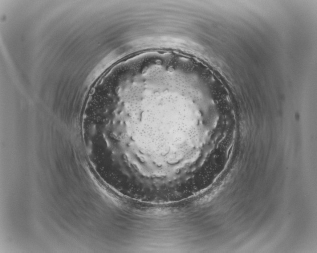 X0000068291521200604241245