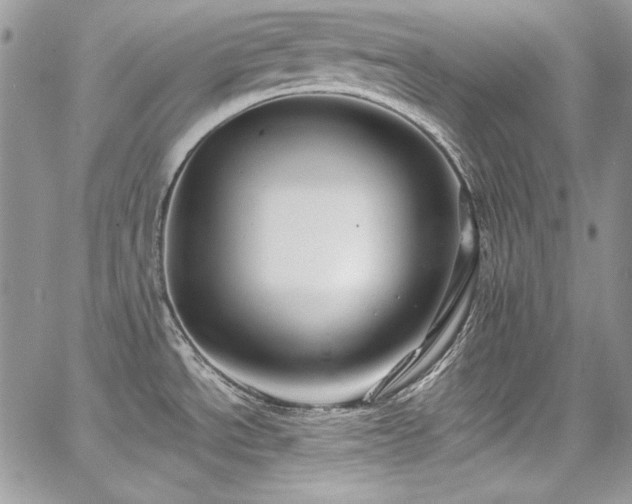 X0000068291534200604241246
