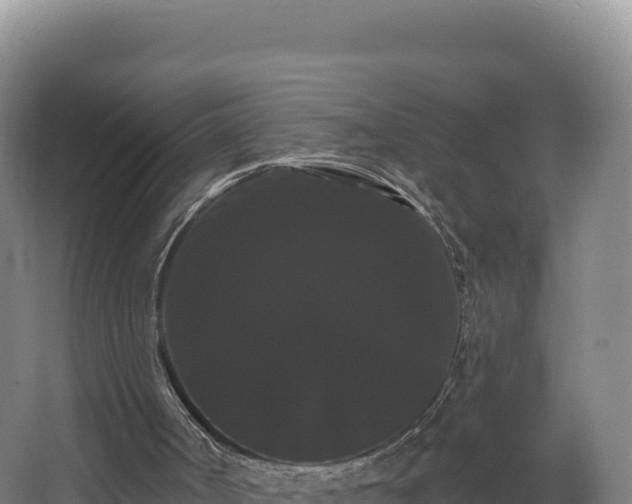 X0000068290002200604281655
