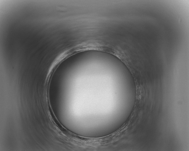 X0000068290004200604281655
