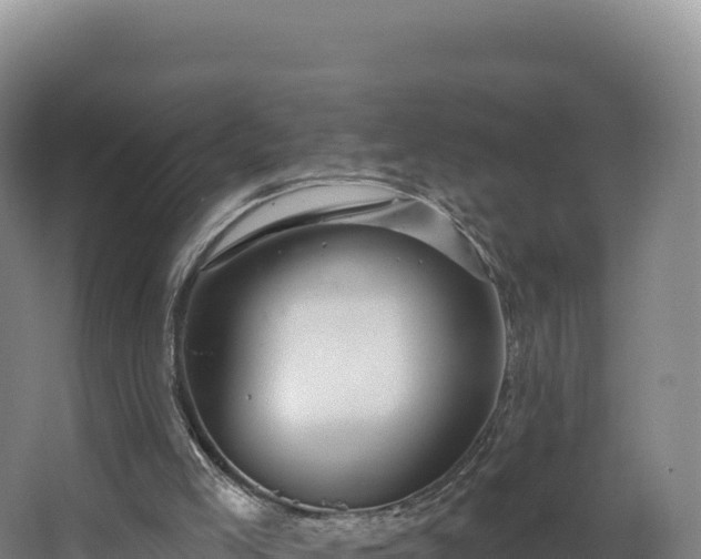 X0000068290005200604281655