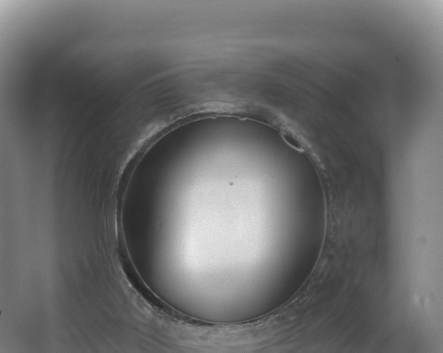 X0000068290011200604281655