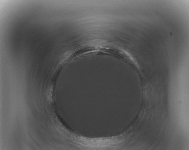 X0000068290018200604281655