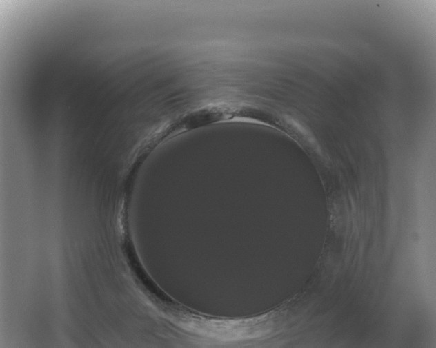 X0000068290023200604281655