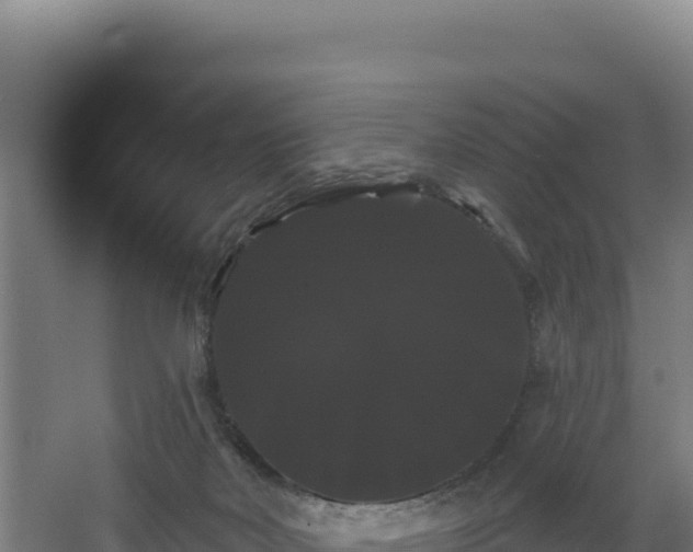 X0000068290026200604281655
