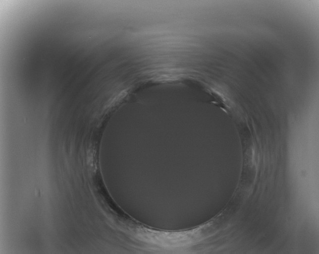 X0000068290031200604281655