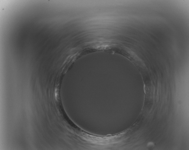 X0000068290035200604281655
