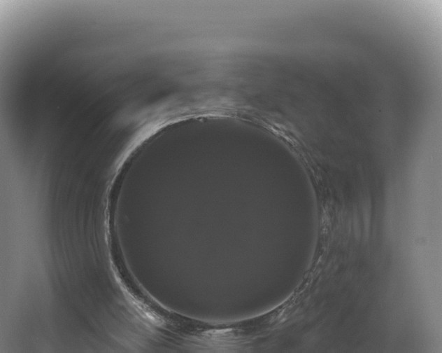 X0000068290054200604281654