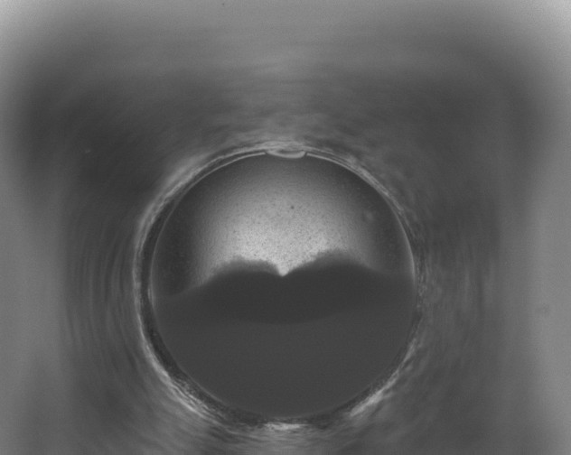 X0000068290055200604281654