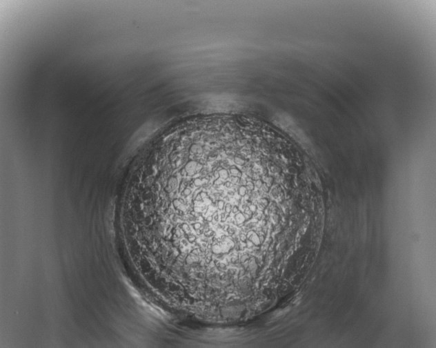 X0000068290058200604281654