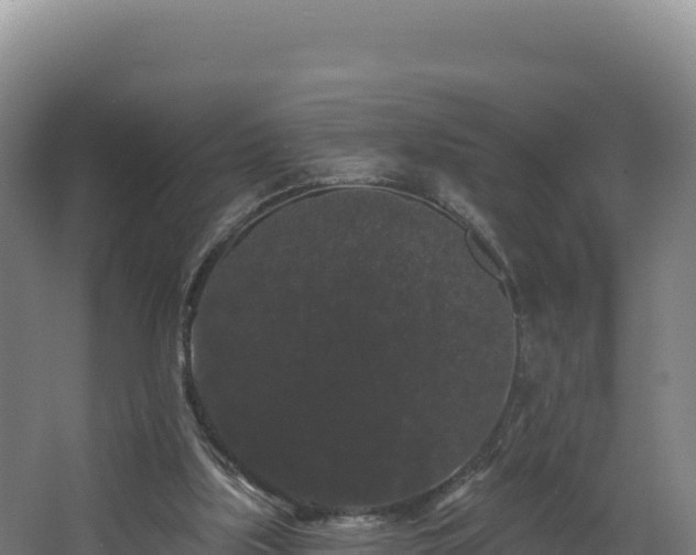 X0000068290059200604281654