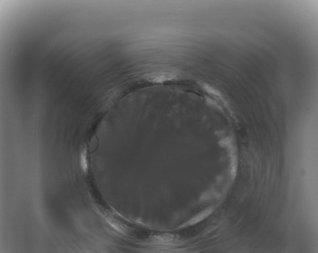 X0000068290069200604281654